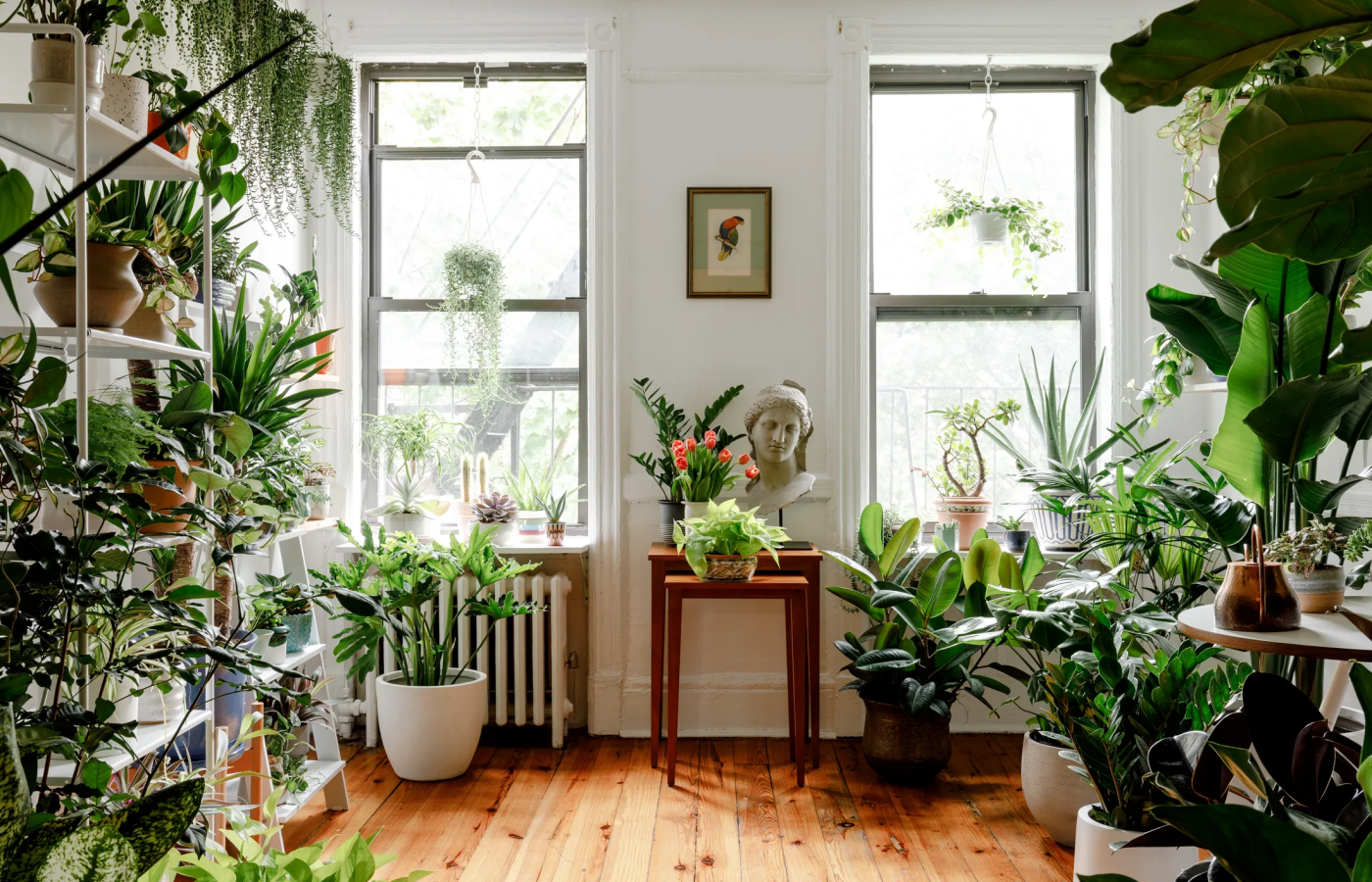 DIY Living Wall: A Creative Way to Add Greenery to Any Room
